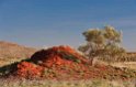 Millennium Minerals Golden Eagle East Pilbara WA.